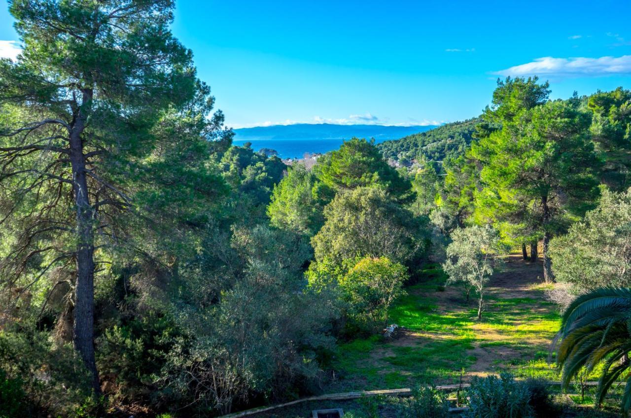 Forest Resort Suites Skiathos Трулос Екстериор снимка