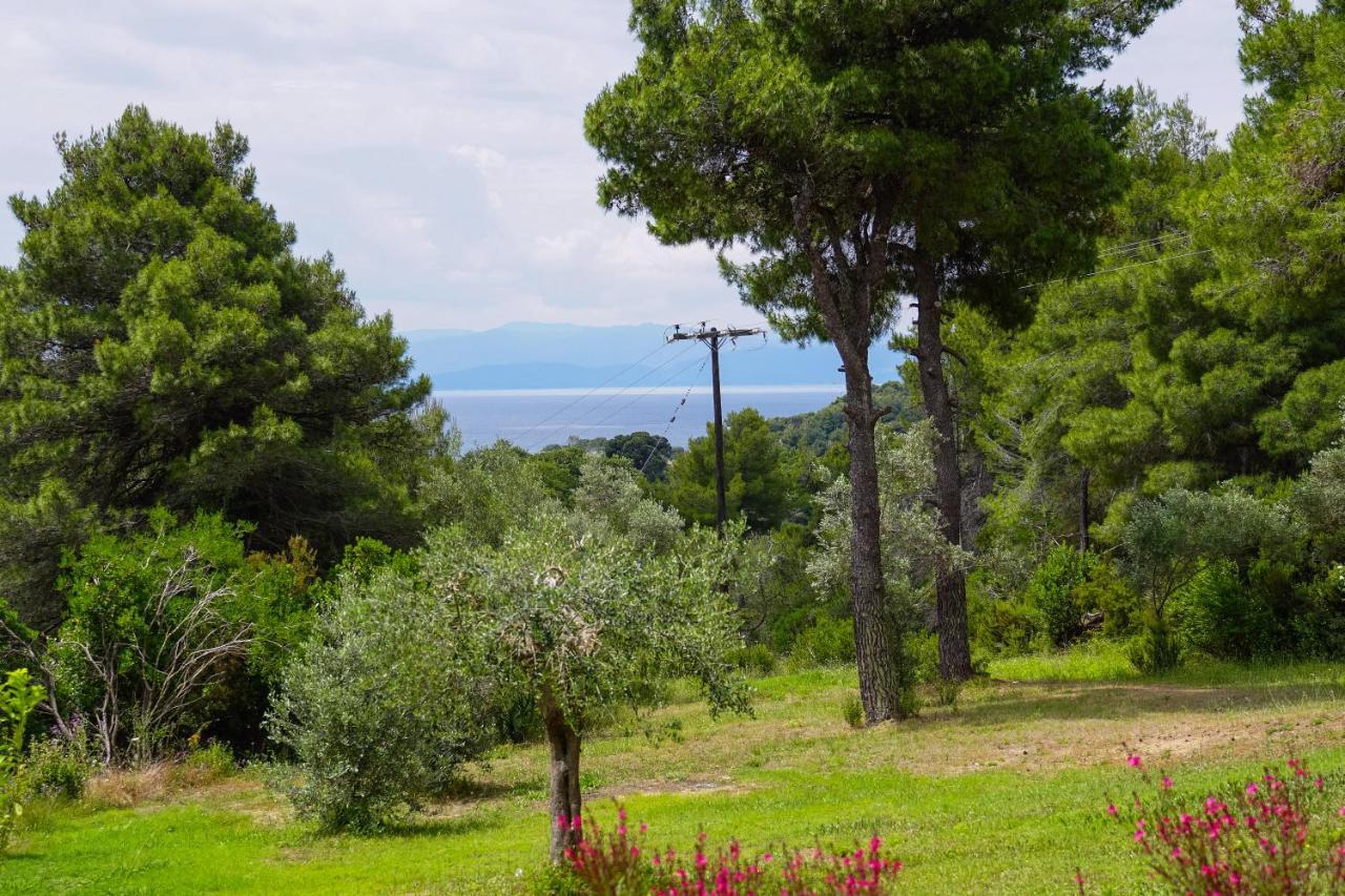 Forest Resort Suites Skiathos Трулос Екстериор снимка